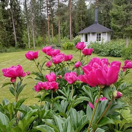 Hanki Villa *